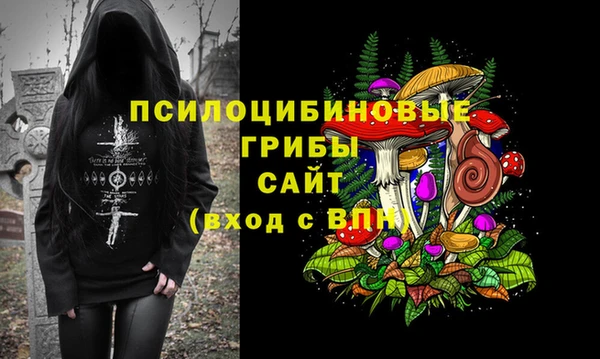 а пвп мука Алзамай