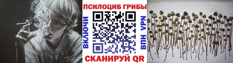 даркнет сайт  Железногорск-Илимский  сайты даркнета какой сайт  Галлюциногенные грибы мицелий 